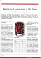 Esperienze di cerasicoltura in Alto Adige