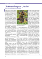 Die Herstellung von „Passito“