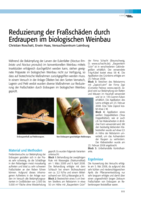 Reduzierung der Fraßschäden durch Erdraupen im biologischen Weinbau