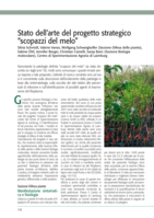 Stato dell’arte del progetto strategico “scopazzi del melo”