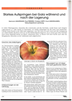 Starkes Aufspringen bei Gala während und nach der Lagerung