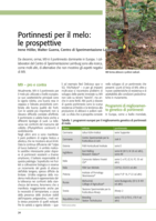Portinnesti per il melo: le prospettive