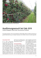 Ausdünnungsversuch bei Gala 2019