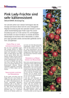Pink Lady-Früchte sind sehr kälteresistent