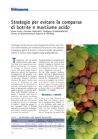 Strategie per evitare la comparsa di botrite e marciume acido