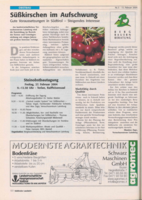 Anbau von Süßkirschen im Aufschwung