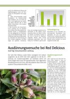 Ausdünnungsversuche bei Red Delicious