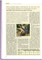 Primi risultati della coltivazione di uve da vino e da tavola resistenti ai patogeni funghi