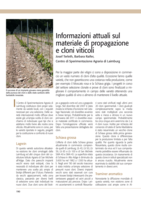 Informazioni attuali sul materiale di propagazione e cloni viticoli