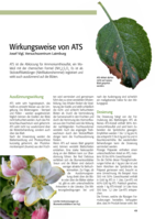 Wirkungsweise von ATS
