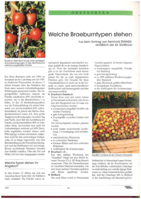 Welche Braeburntypen stehen im Angebot