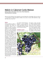Malvin in Cabernet Cortis-Weinen
