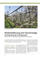 Wiederbepflanzung einer Kirschenanlage - Die Bedeutung der Unterlagenwahl