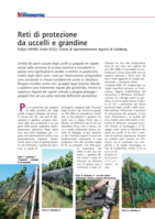 Reti di protezione da uccelli e grandine