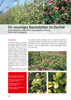 Ein neuartiges Baumsterben im Etschtal