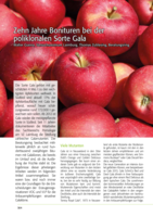 10 Jahre Bonituren bei der poliklonalen Sorte Gala