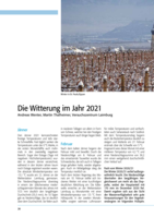 Die Witterung im Jahr 2021