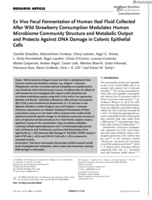 Ex Vivo Fecal Fermentation of Human Ileal Fluid CollectedAfter Wild Strawberry Consumption Modulates HumanMicrobiome Community Structure and Metabolic Outputand Protects Against DNA Damage in Colonic EpithelialCells