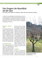 Den Erregern der Braunfäule auf der Spur