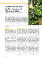 Golden Parsi da rosa Stand der Ergebnisse und Erfahrungen in Südtirol