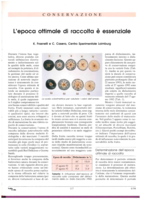 L'epoca ottimale di raccolta è essenziale
