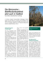 Die Marssonina - Blattfleckenkrankheit jetzt auch in Südtirol