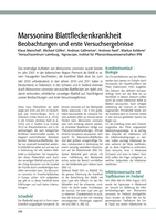 Marssonia Blattfleckenkrankheit, Beobachtungen und erste Versuchsergebnisse