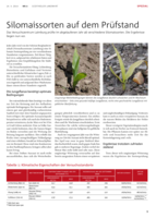 Silomaissorten auf dem Prüfstand