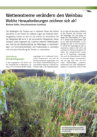 Wetterextreme verändern den Weinbau. Welche Herausforderungen zeichnen sich ab?