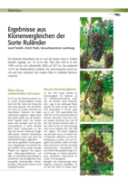 Ergebnisse aus Klonenvergleichen der Sorte Ruländer