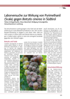 Laborversuche zur Wirkung von Pyrimethanil (Scala) gegen Botrytis cinerea in Südtirol