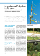 La gestione dell’irrigazione in viticoltura