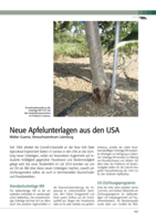 Neue Apfelunterlagen aus den USA