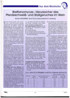 Brettanomyces - Verursacher des Pferdeschweiß- und Stallgeruches im Wein