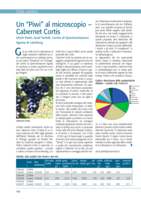 Un “Piwi” al microscopio - Cabernet Cortis