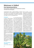 Rebvirosen in Südtirol - Eine Bestandsaufnahme