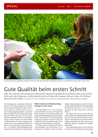 Gute Qualität im ersten Schnitt