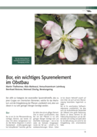 Bor, ein wichtiges Spurenelement im Obstbau