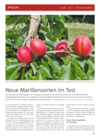 Neue Marillensorten im Test