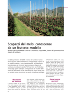 Scopazzi del melo: conoscenze da un frutteto modello