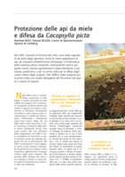 Protezione delle api da miele e difesa da Cacopsylla picta