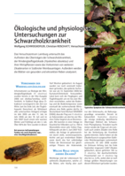 Ökologische und physiologische Untersuchungen zur Schwarzholzkrankheit