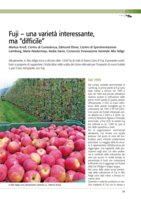 Fuji - una varietà interessante,  ma “difficile“