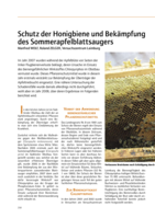 Schutz der Honigbiene und Bekämpfung des Sommerapfelblattsaugers