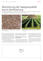 Absicherung der Saatgutqualität durch Zertifizierung