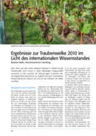 Ergebnisse zur Traubenwelke 2010 im Licht des internationalen Wissensstandes