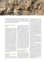 La calcitazione dei vigneti