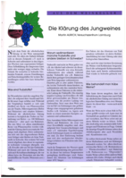 Die Klärung des Jungweines