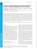 The insect vector Cacopsylla picta vertically transmits the bacterium ‘Candidatus Phytoplasma mali’ to its progeny