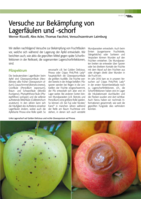 Versuche zur Bekämpfung von Lagerfäulen und -schorf